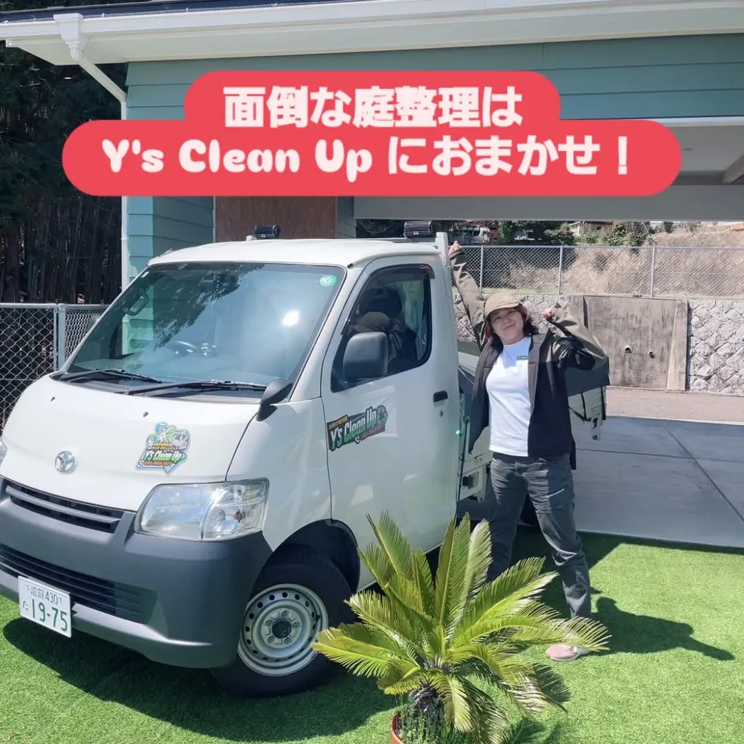 季節の移り変わりに伴って、緑がますます元気に！庭の雑草や木々...
