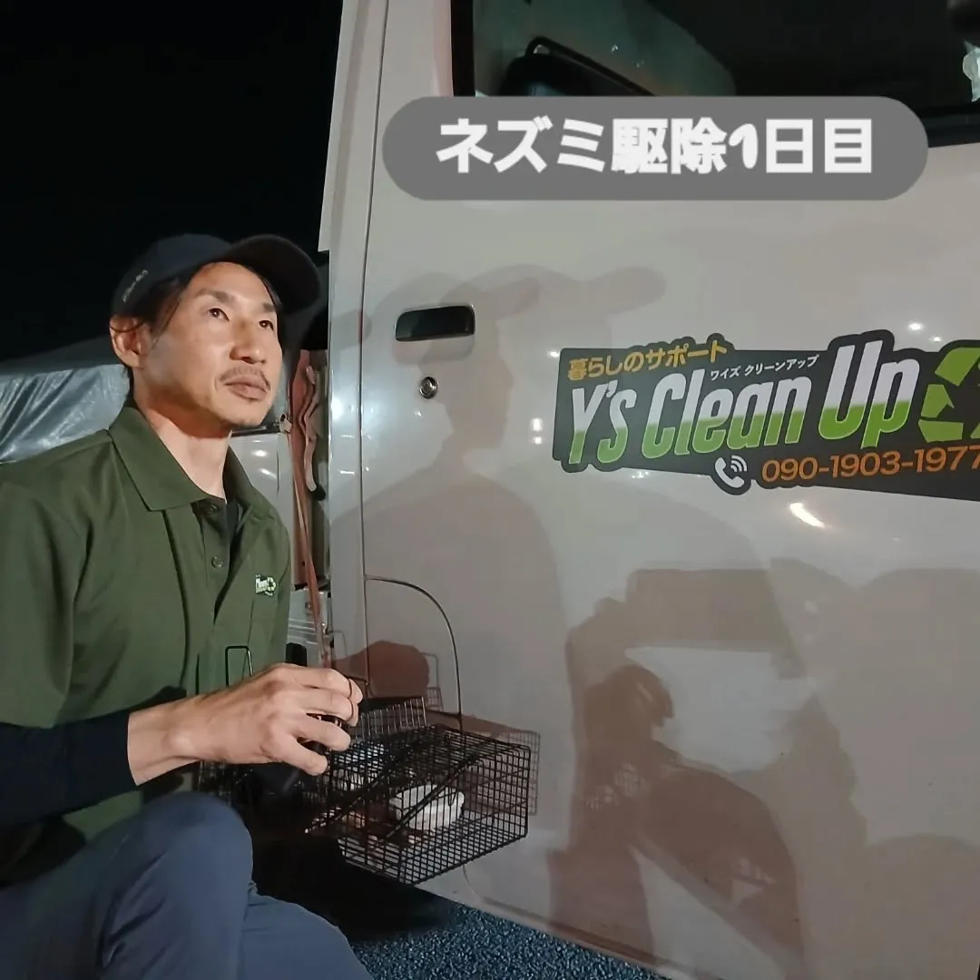 ネズミ駆除のご依頼をいただき、夜間出動しました！