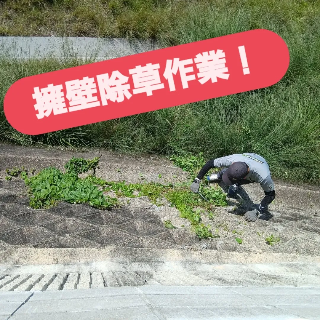 おはようございます✨今日は、日差しが暑くなる前に除草作業を開...