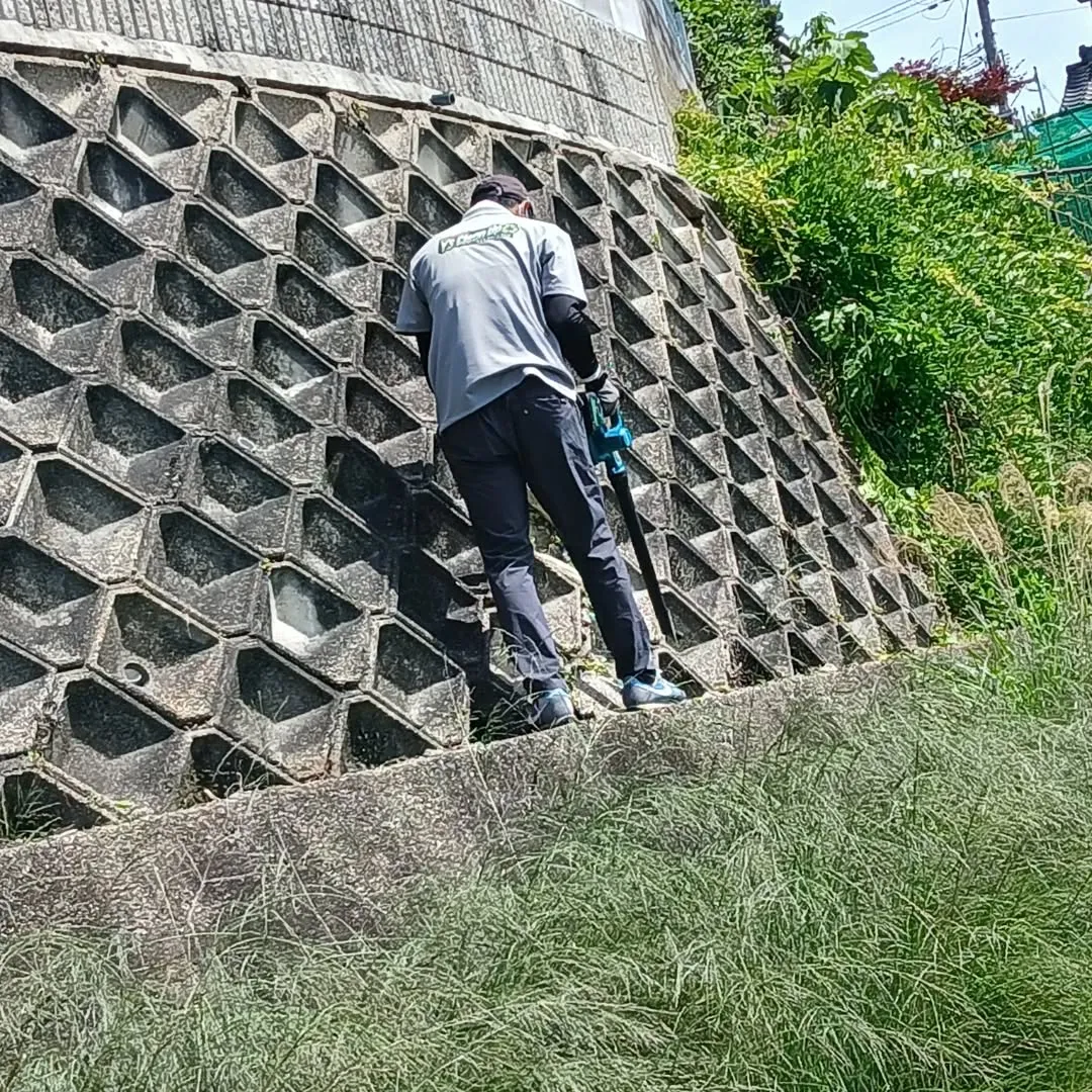 おはようございます✨今日は、日差しが暑くなる前に除草作業を開...