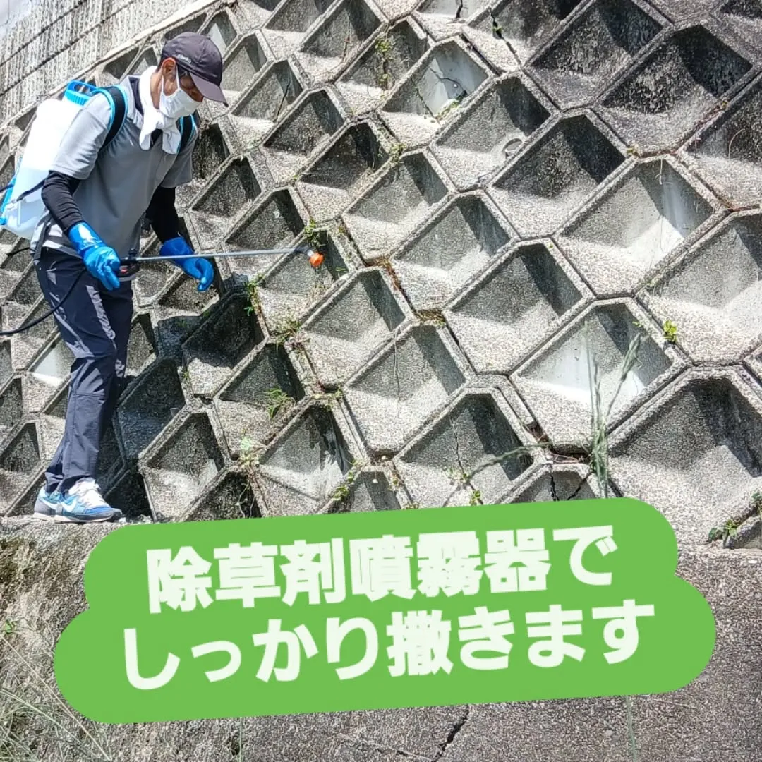 おはようございます✨今日は、日差しが暑くなる前に除草作業を開...