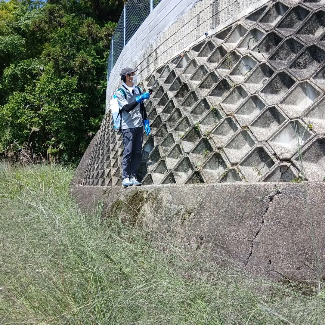 おはようございます✨今日は、日差しが暑くなる前に除草作業を開...