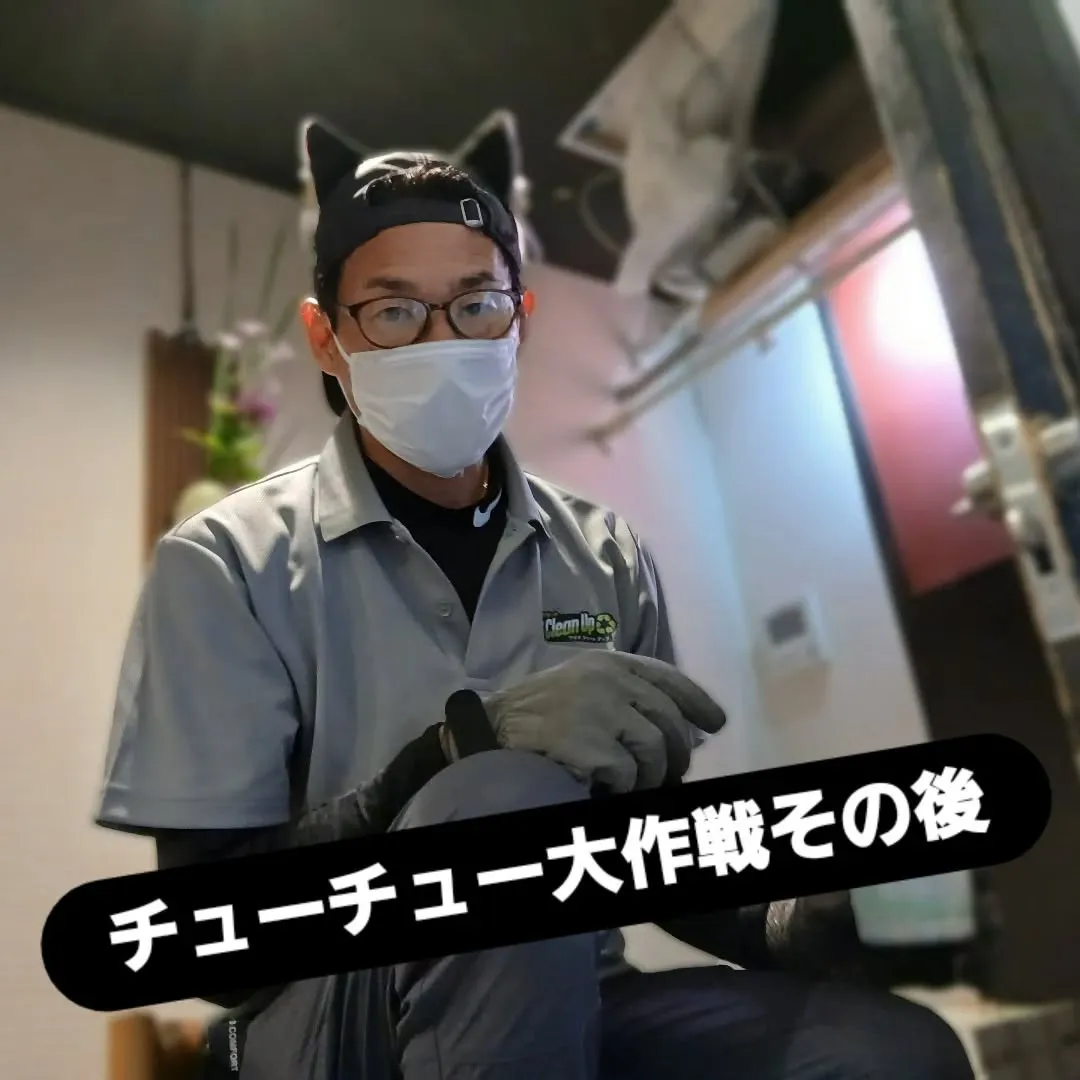 🏠🔍 チューチュー大作戦、その後。