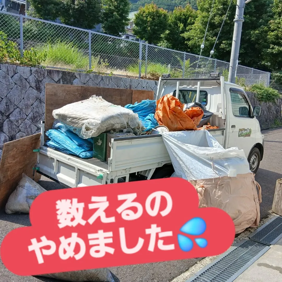 今日は代表が応援のために竹生島へ🏞️。