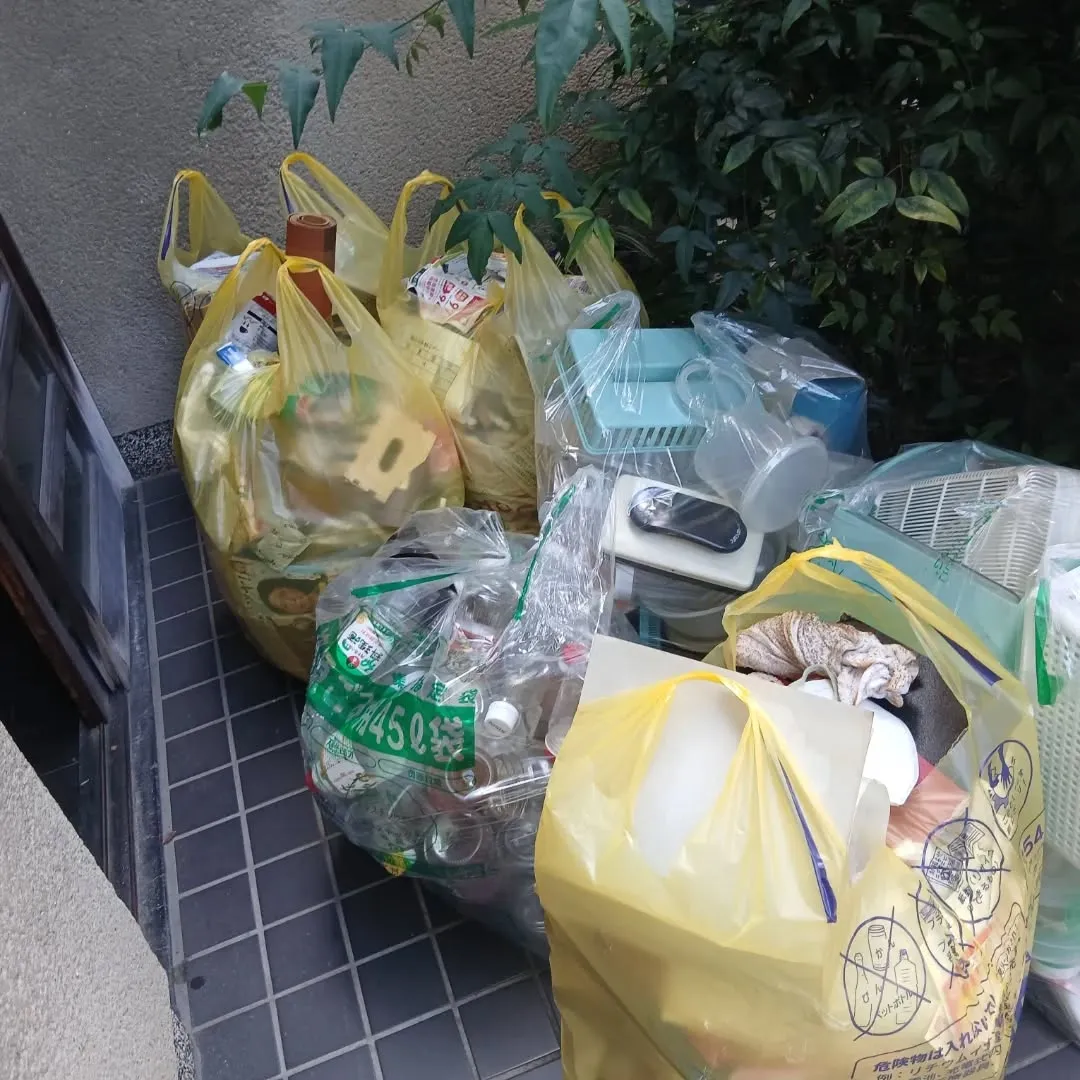 生前整理、台所編✨