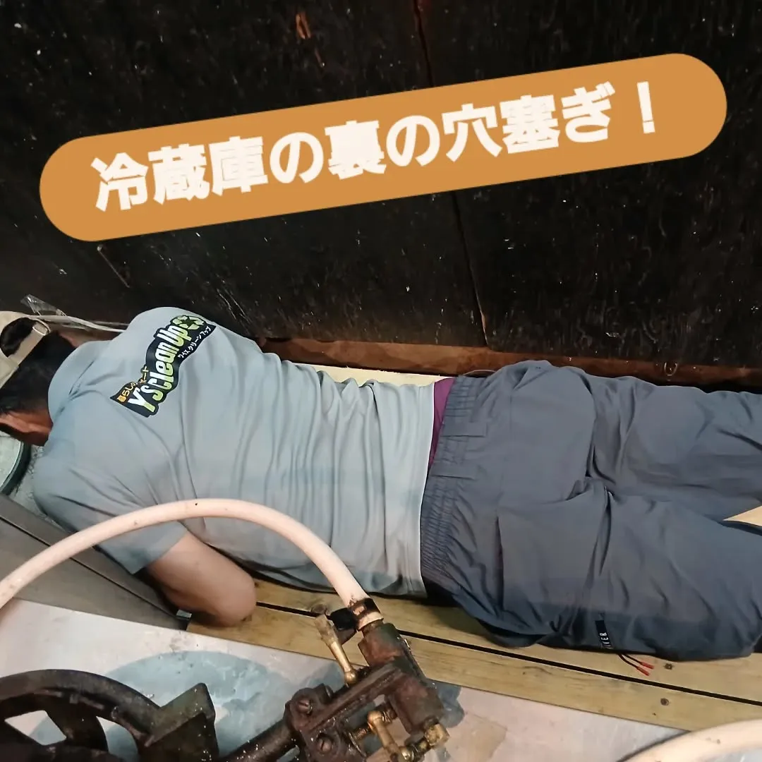 こんにちは、Y'sCleanUpです！🌟