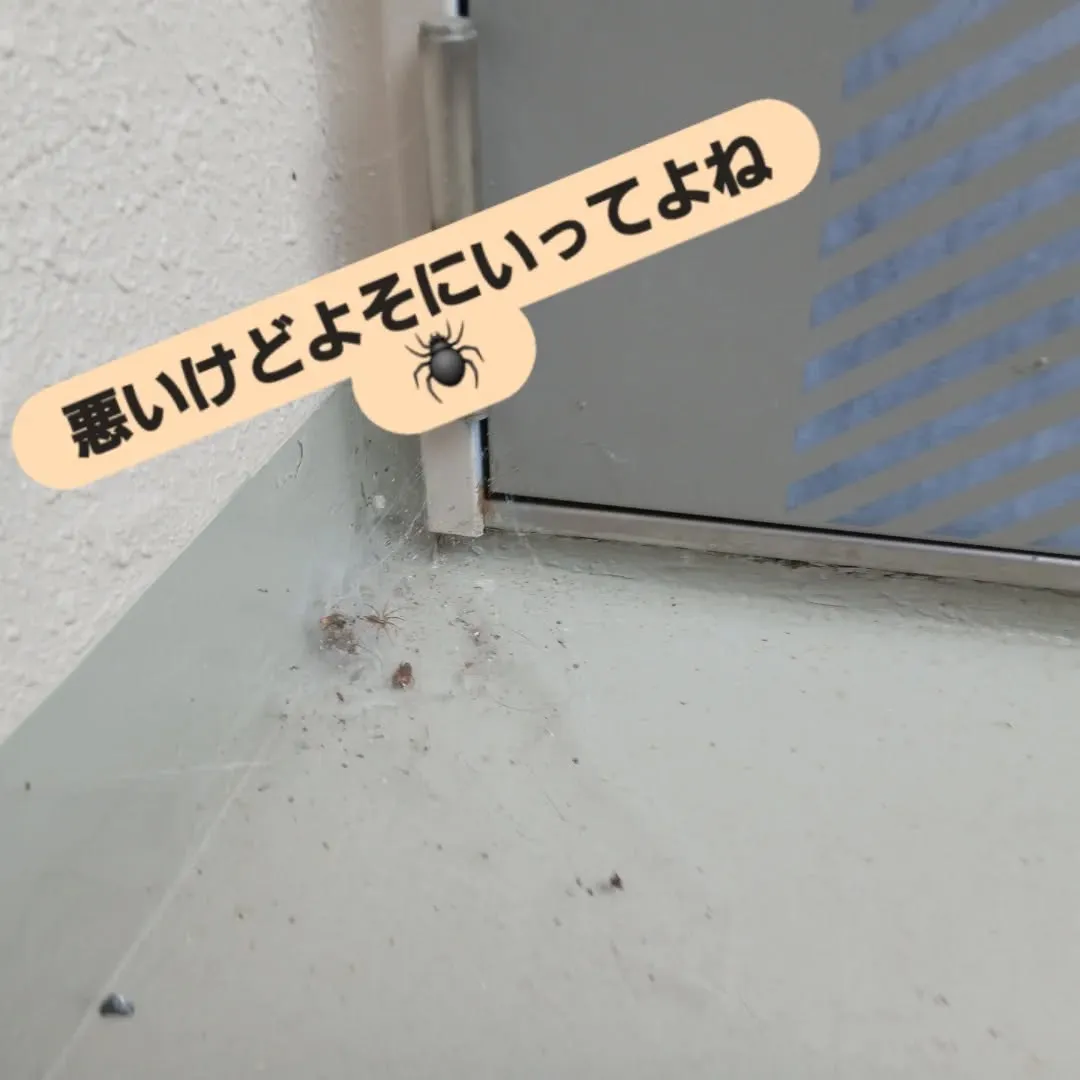 今日のY'sCleanUpは、京都市左京区吉田にある京都大学...