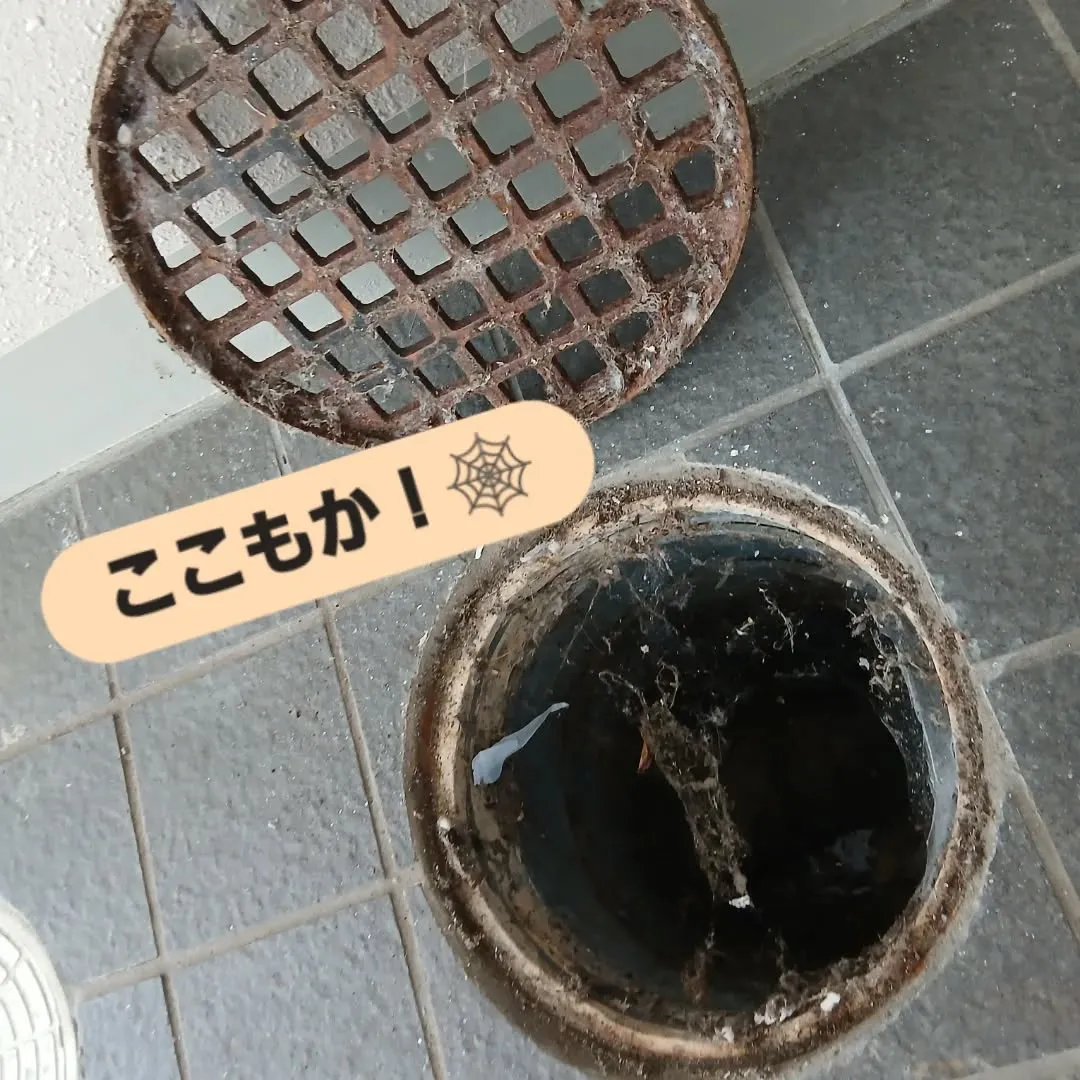 今日のY'sCleanUpは、京都市左京区吉田にある京都大学...