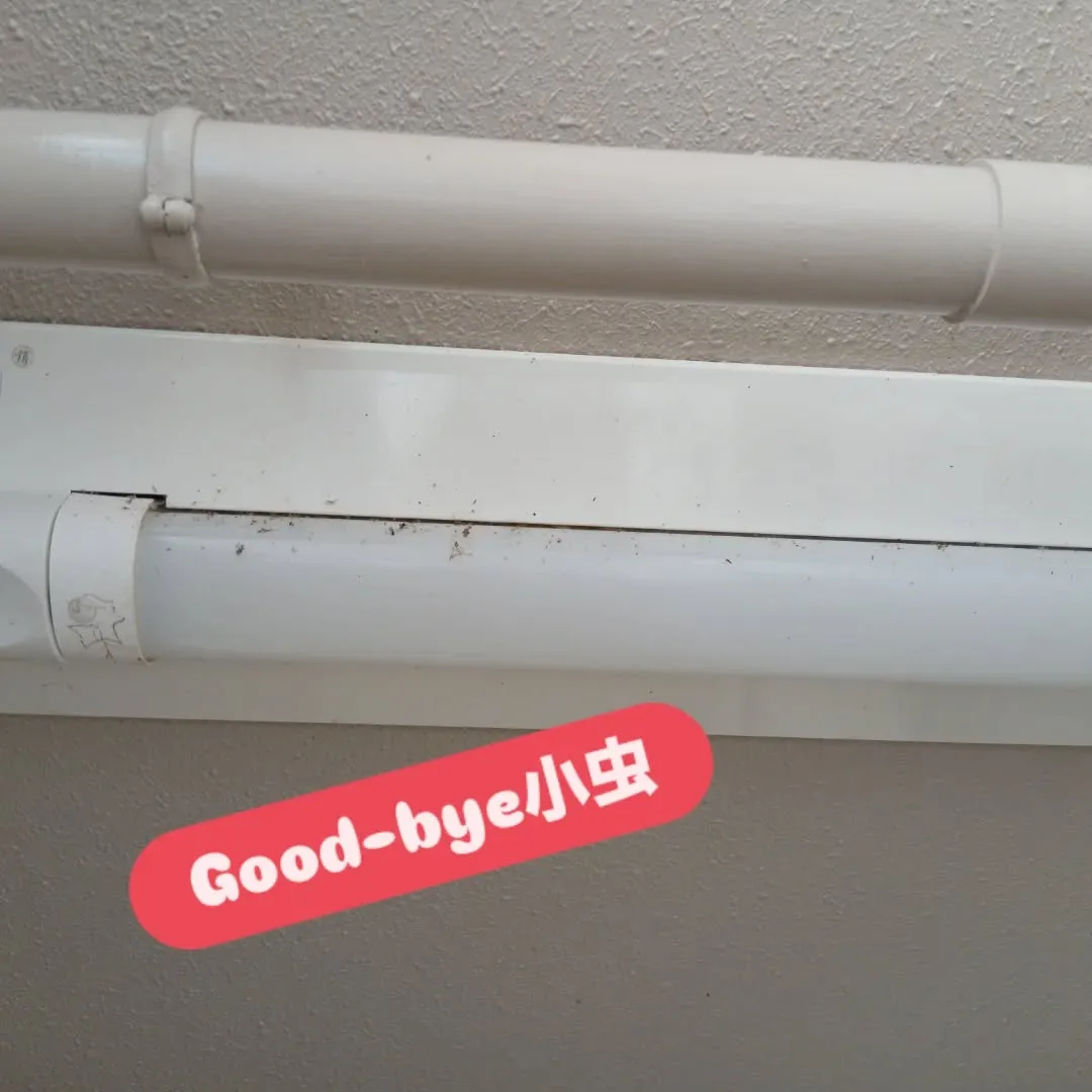 今日のY'sCleanUpは、京都市左京区吉田にある京都大学...
