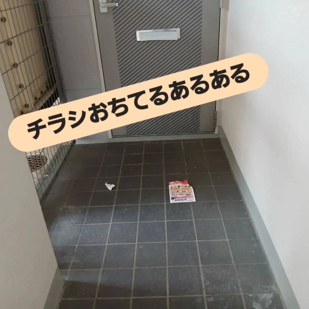 今日のY'sCleanUpは、京都市左京区吉田にある京都大学...