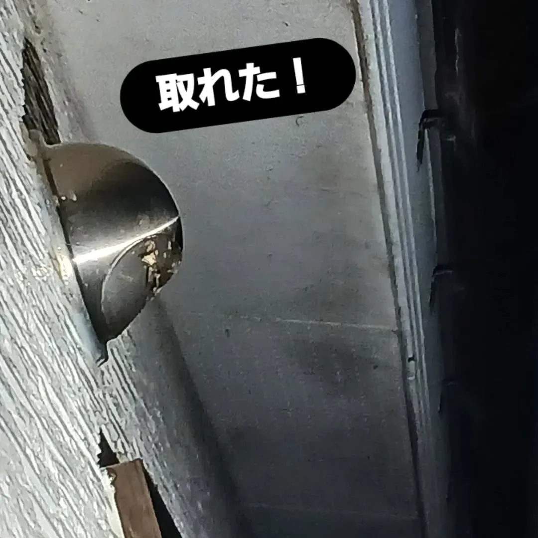 本日、蜂の巣🐝の駆除をしてきました！