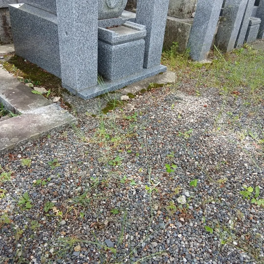 お墓掃除のご依頼をいただき、昨日お仕事をしてきました！🌟