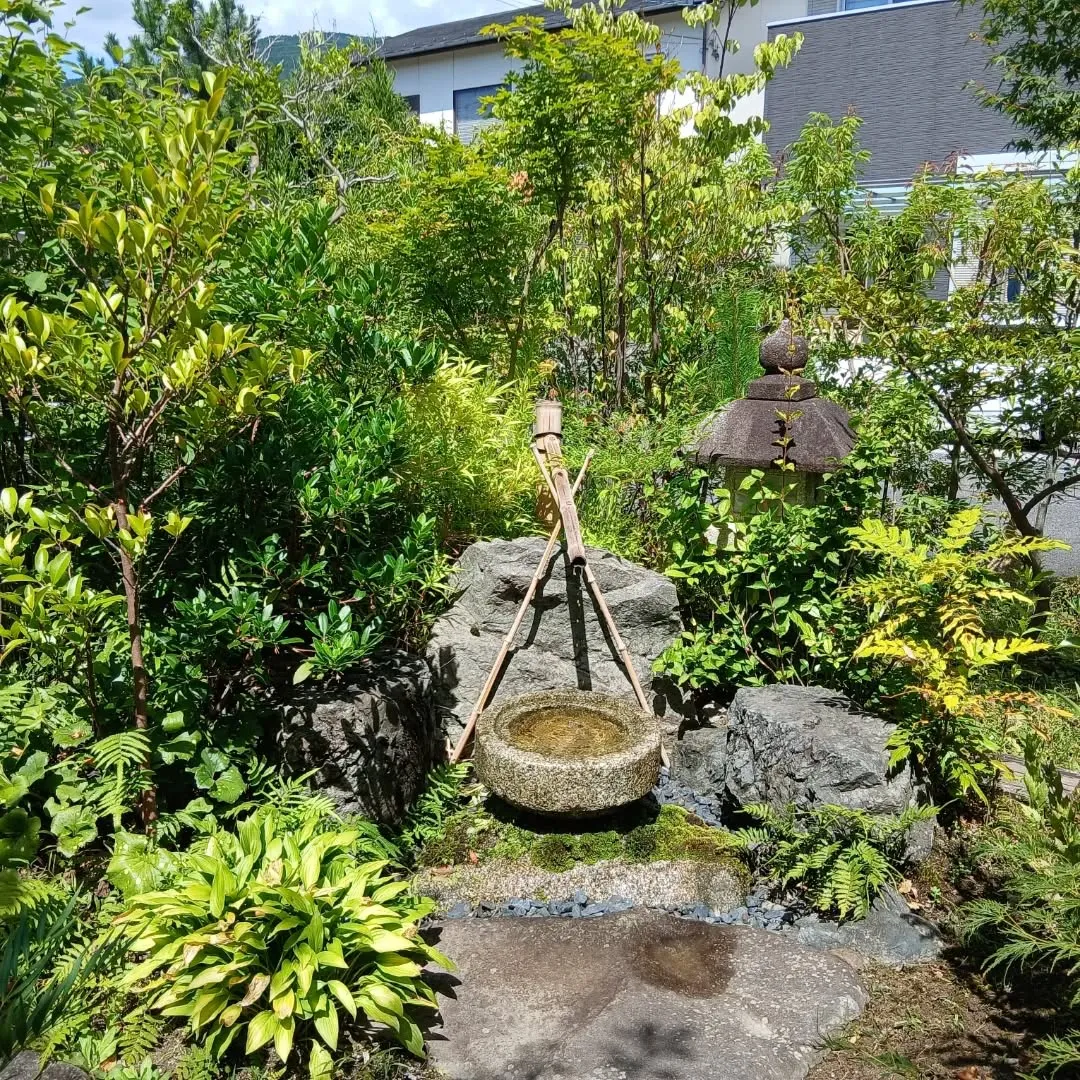 今日は日吉台でお庭整理のお手伝いしてきました！🌿