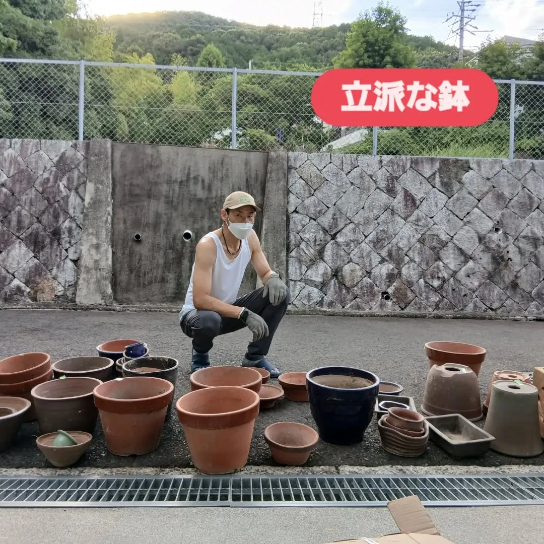 昨日はお庭の整理でいらなくなった植木鉢を回収してきましたが、...