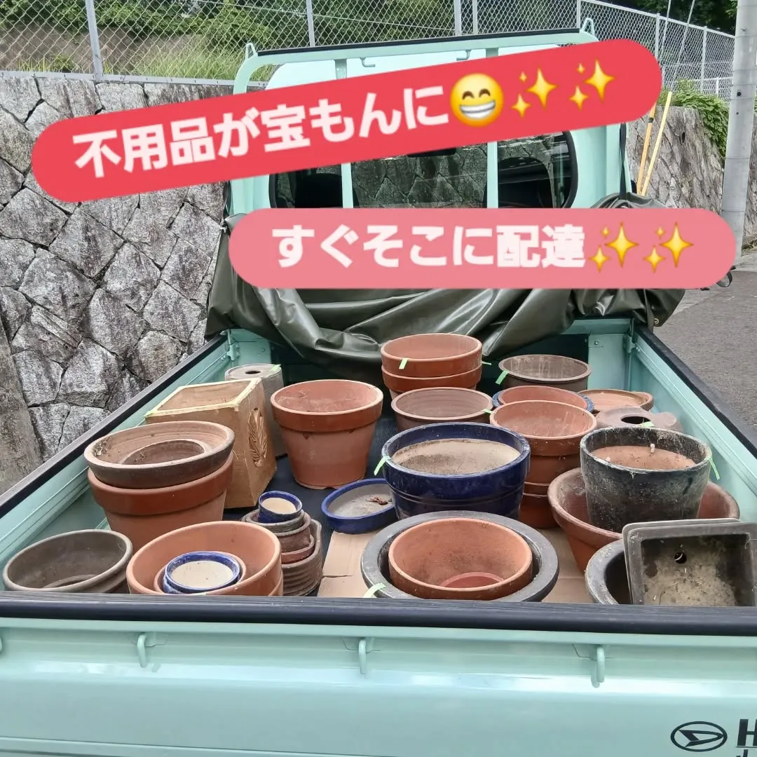 昨日はお庭の整理でいらなくなった植木鉢を回収してきましたが、...