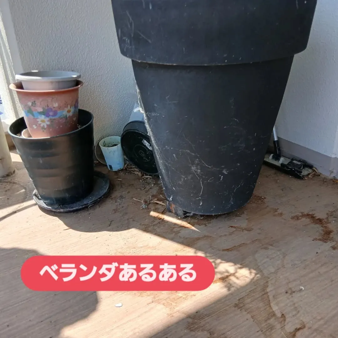昨日はびわ湖花火大会に向けて、お友達が集まるご家庭のベランダ...