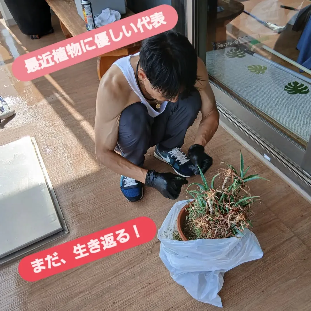 昨日はびわ湖花火大会に向けて、お友達が集まるご家庭のベランダ...