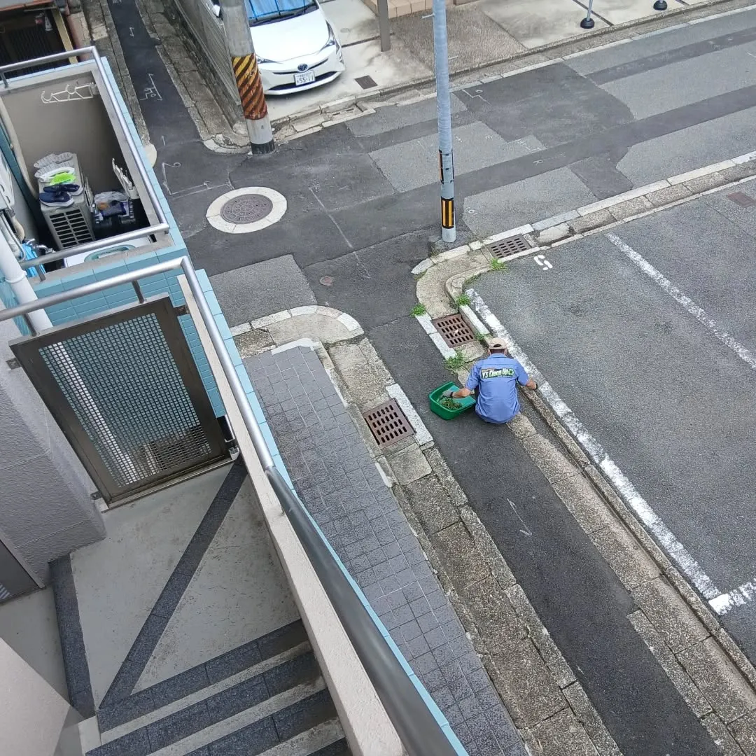 ついに雨から解放！🌧️✨