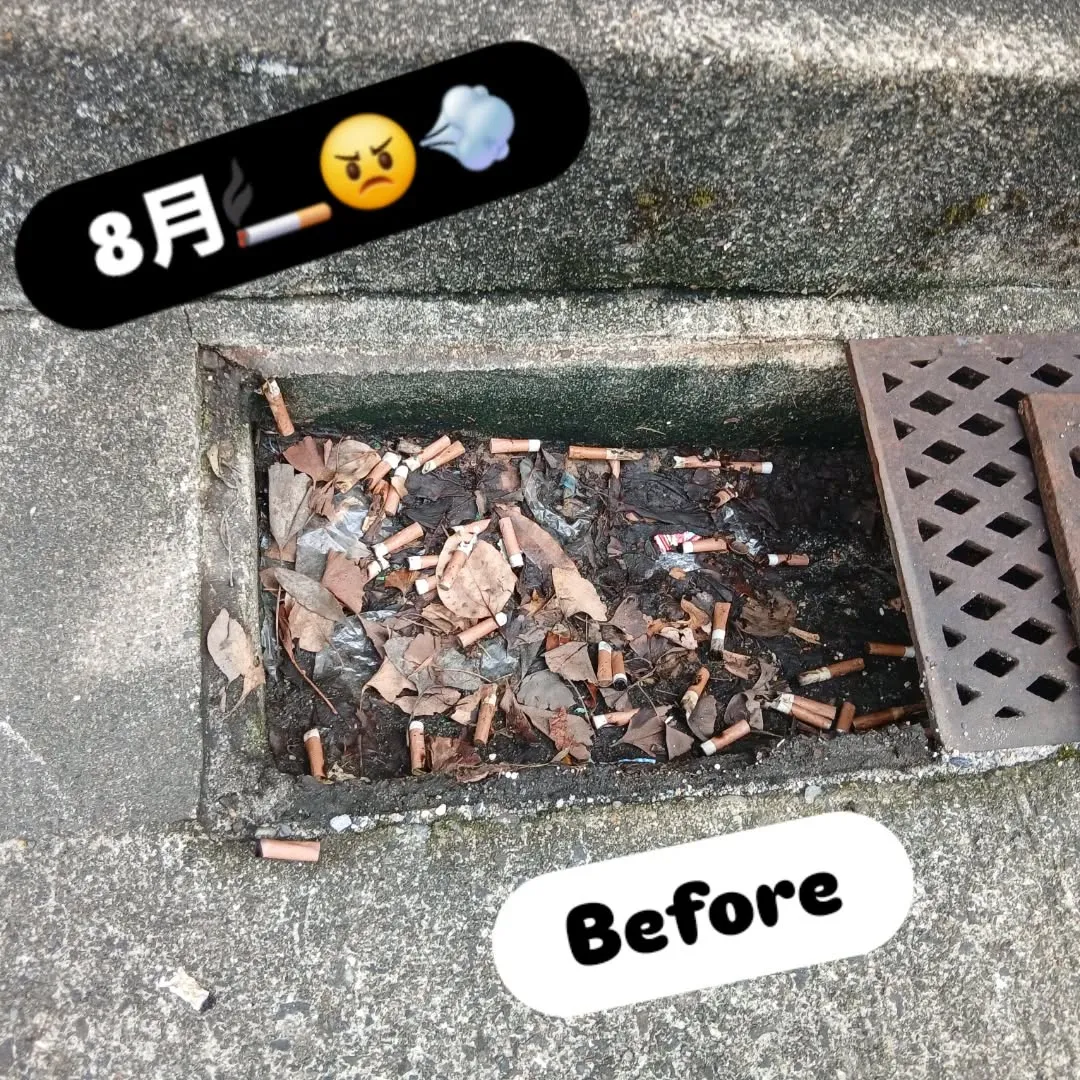 ついに雨から解放！🌧️✨