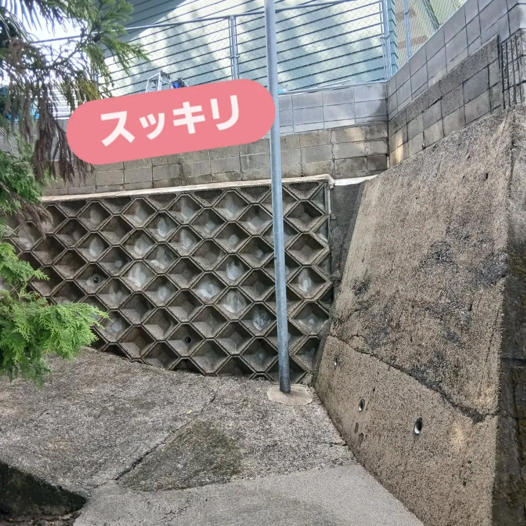 Y's の日曜日✨！