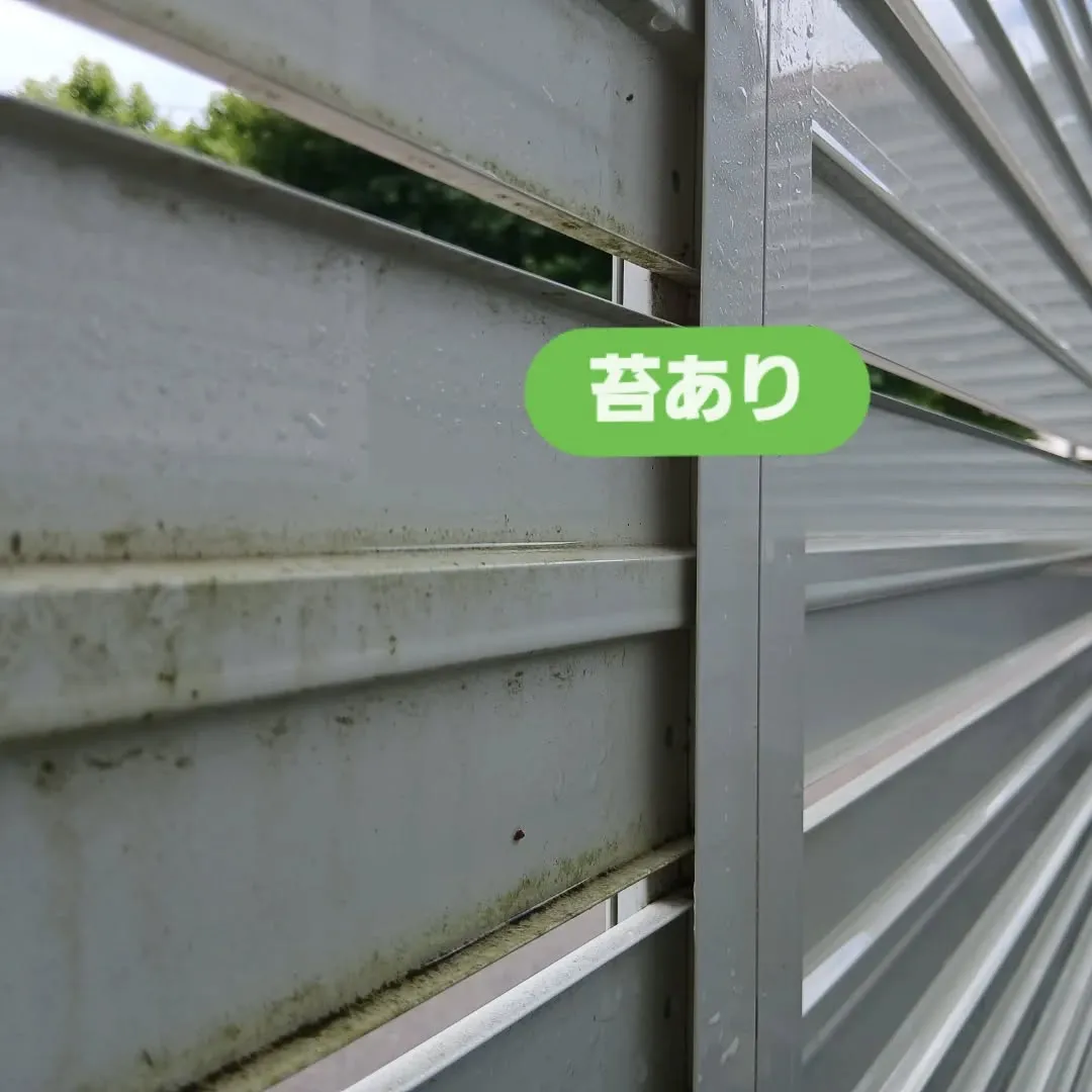 Y's の日曜日✨！