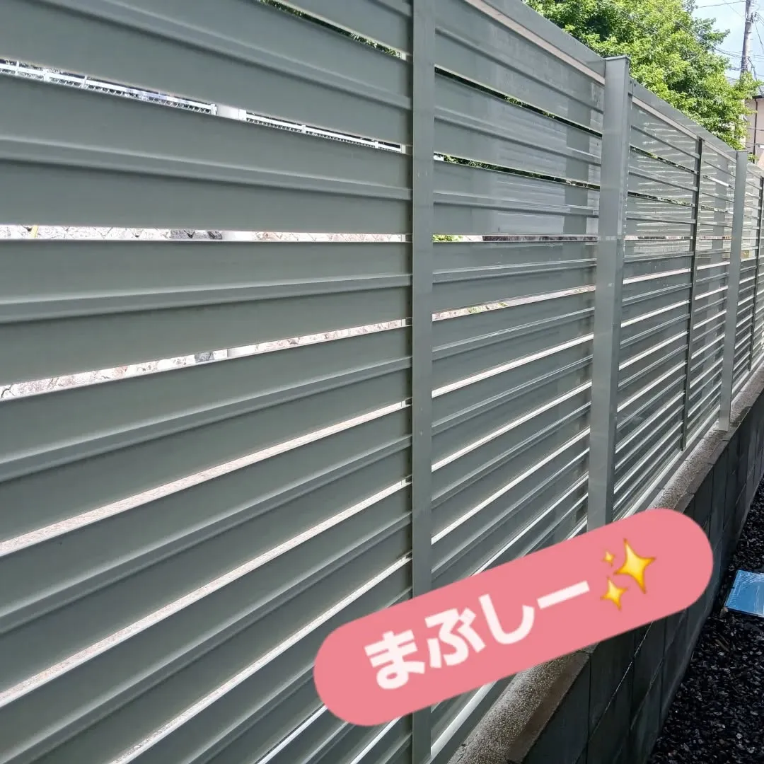 Y's の日曜日✨！