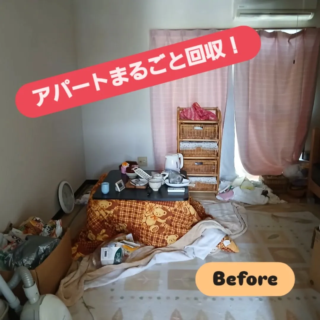ハイツの一室まるごと回収いってきました！🛋️✨ 