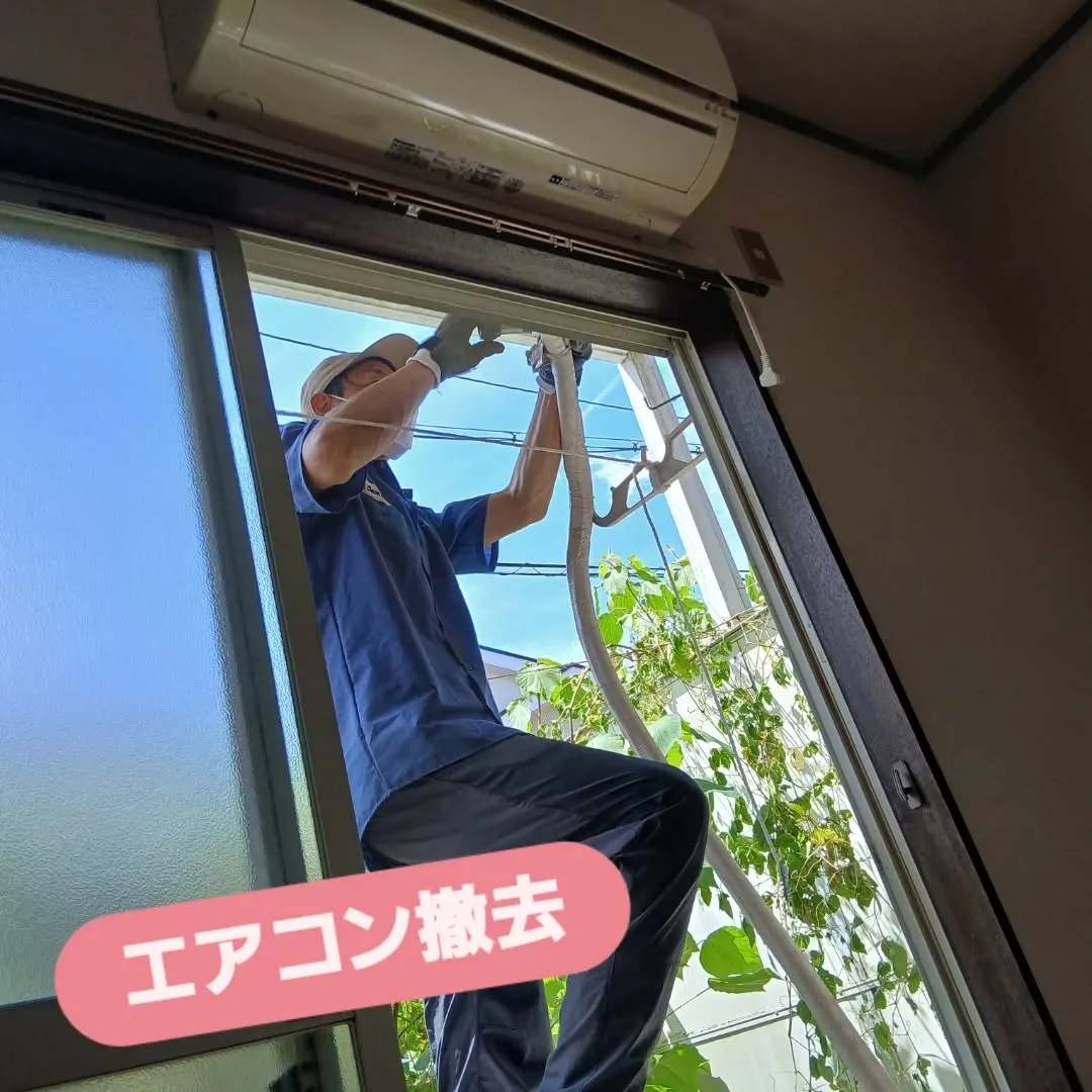 ハイツの一室まるごと回収いってきました！🛋️✨ 