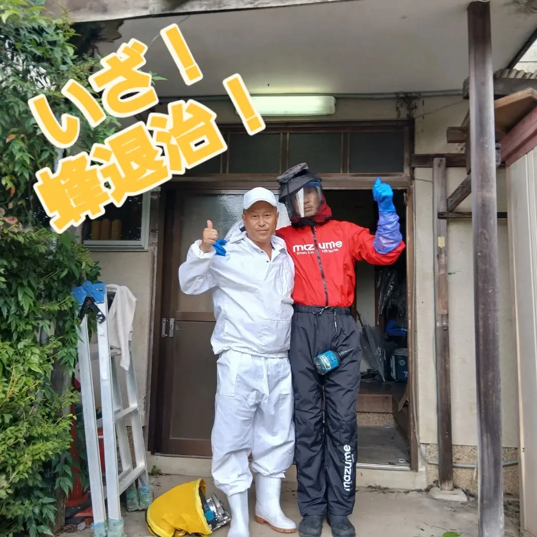 🐝蜂退治第2弾！