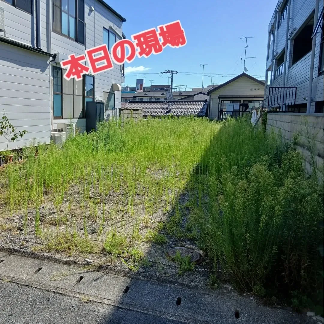 今日の代表は、京都のリッシュホーム様からの依頼で草刈り作業🌿...