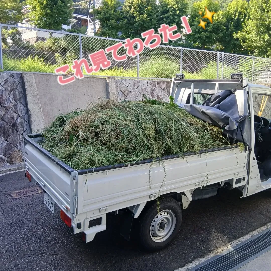 今日の代表は、京都のリッシュホーム様からの依頼で草刈り作業🌿...