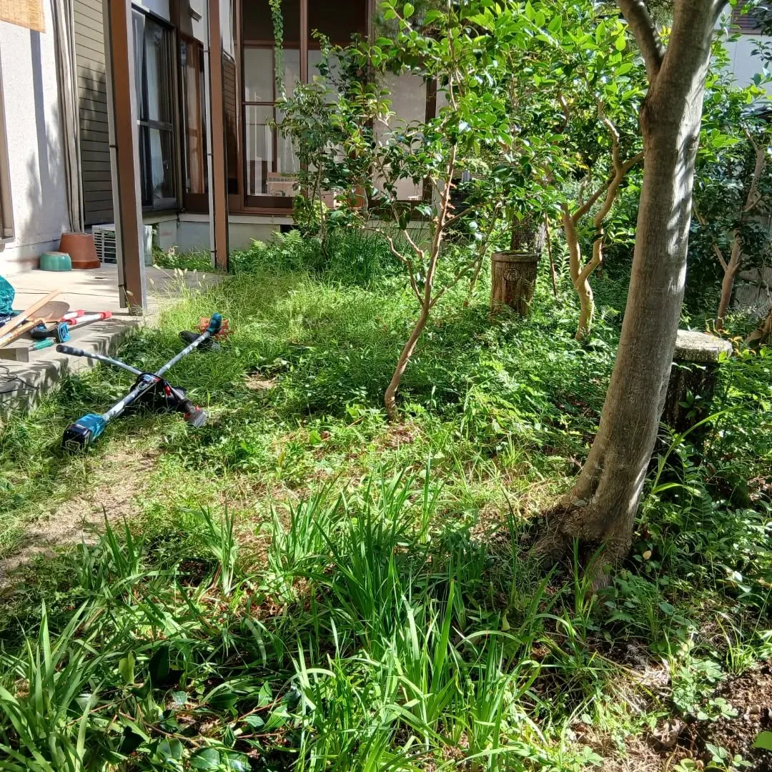 🌿🌼【庭の整理やお掃除でスッキリしませんか？】🌼🌿