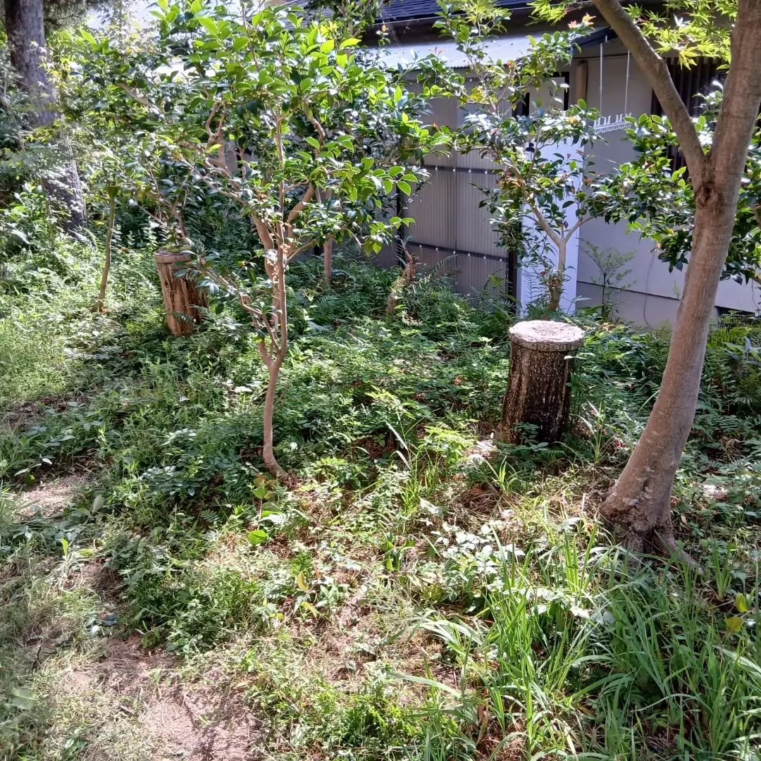 🌿🌼【庭の整理やお掃除でスッキリしませんか?】🌼🌿