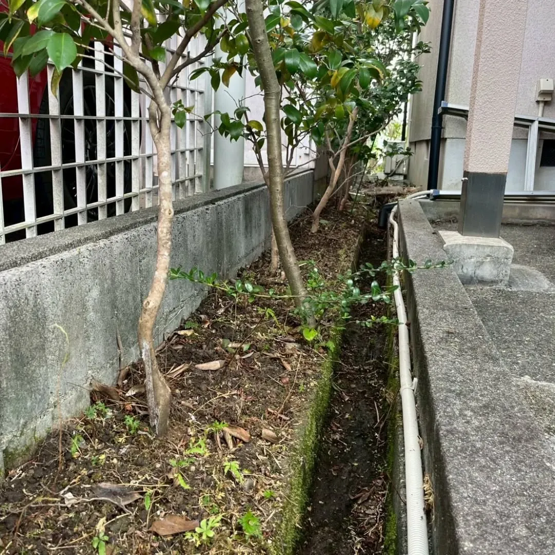 🌿🌼【庭の整理やお掃除でスッキリしませんか?】🌼🌿