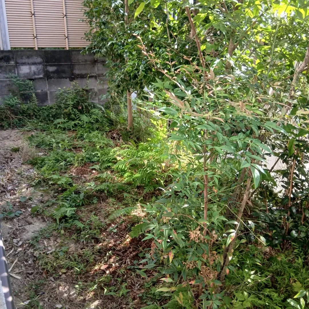 🌿🌼【庭の整理やお掃除でスッキリしませんか?】🌼🌿