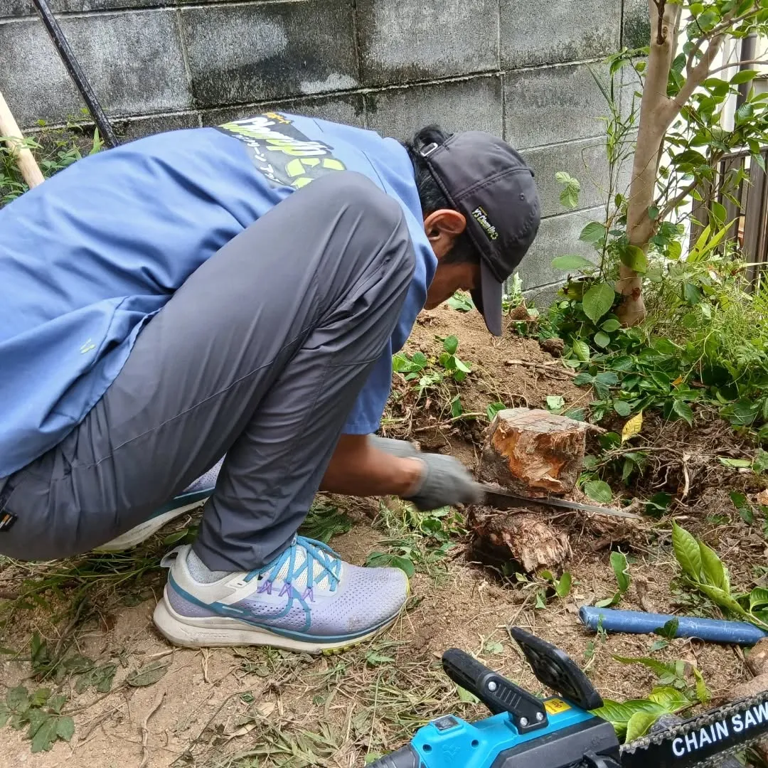 🌿🌼【庭の整理やお掃除でスッキリしませんか?】🌼🌿