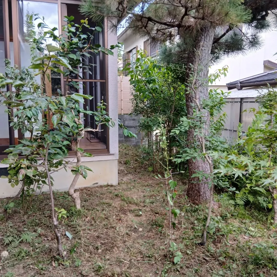 🌿🌼【庭の整理やお掃除でスッキリしませんか?】🌼🌿