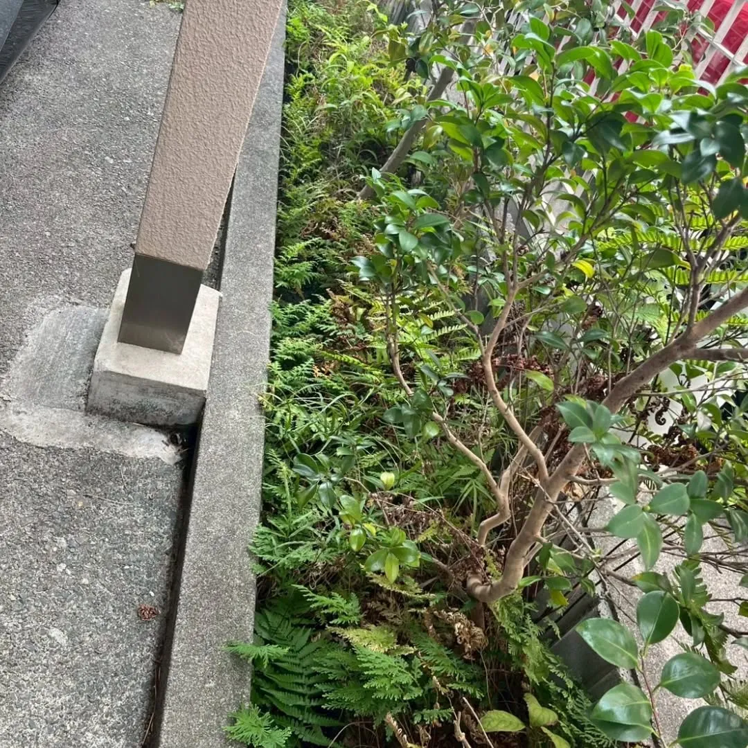 🌿🌼【庭の整理やお掃除でスッキリしませんか?】🌼🌿