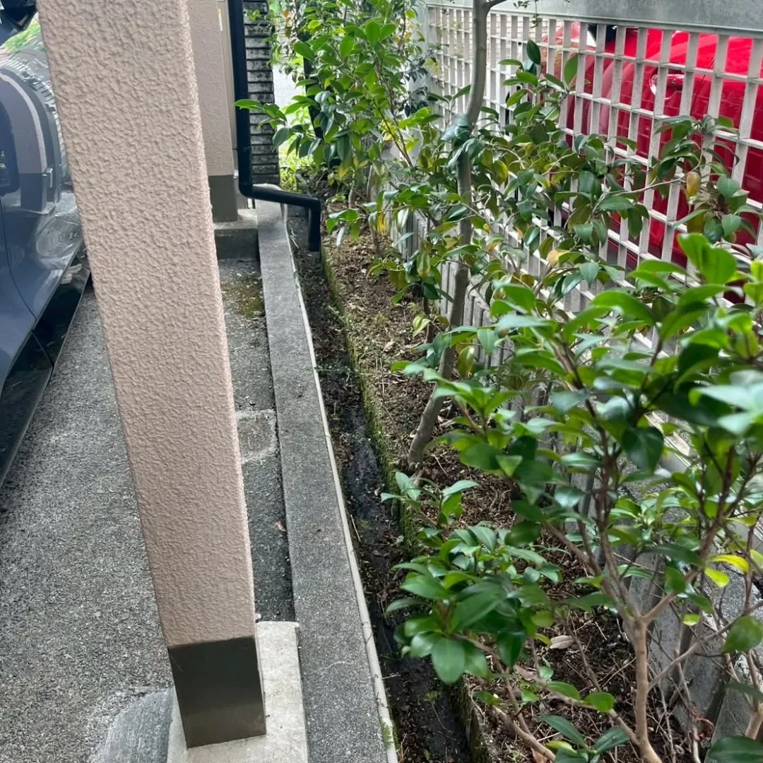 🌿🌼【庭の整理やお掃除でスッキリしませんか?】🌼🌿