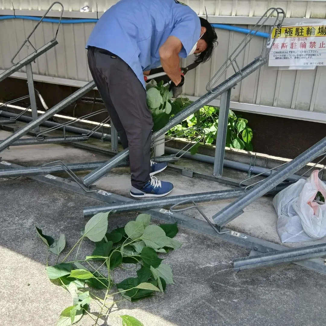 お疲れ様です！🔧✨
