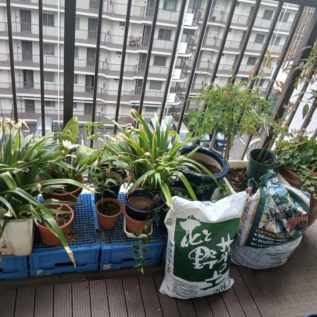 皆様ご機嫌いかがでしょうか😊日に日に秋の気配を感じる今日この...