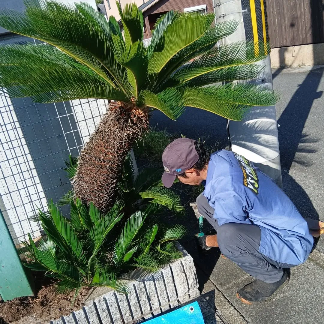 今日は素晴らしい一日を過ごしました！