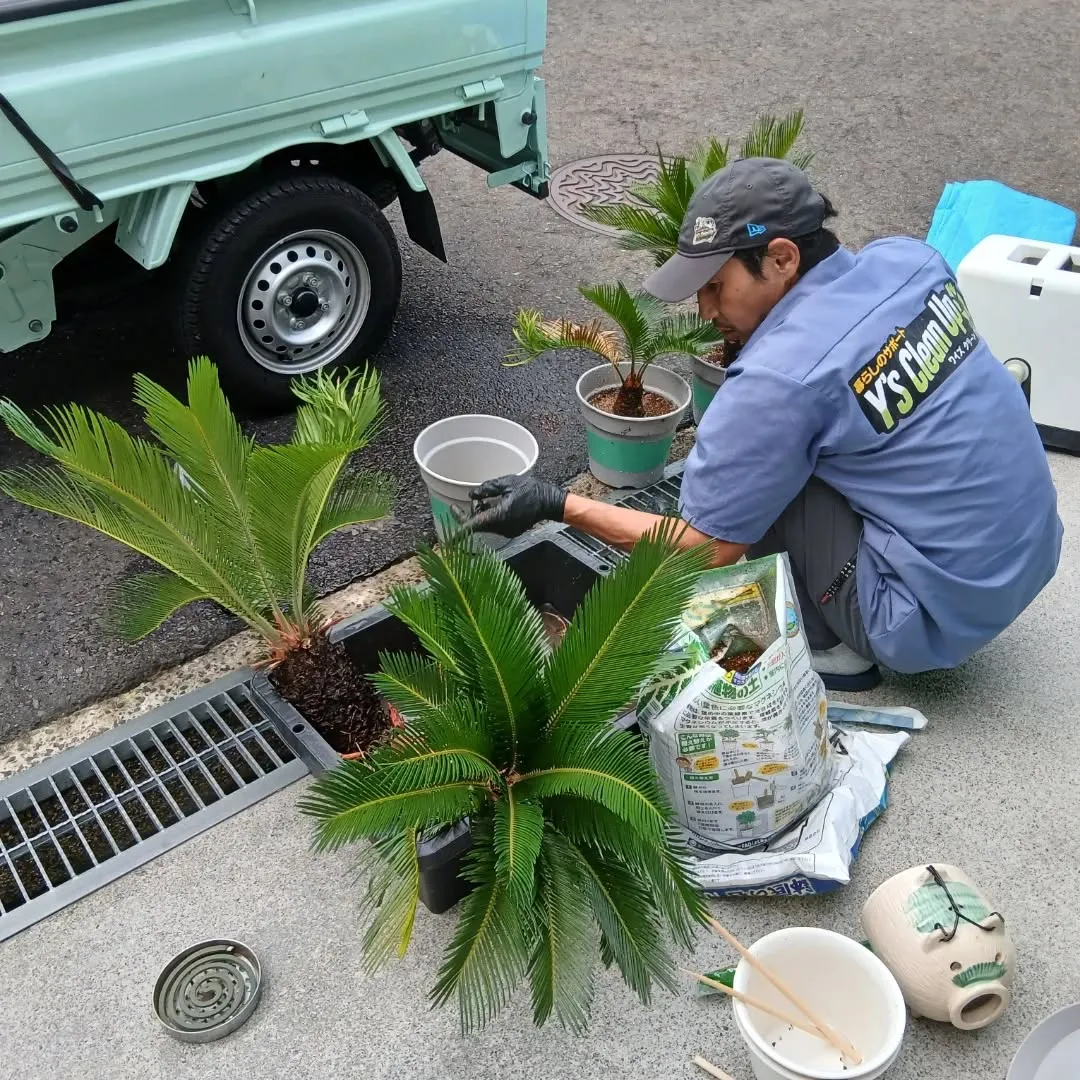 今日は素晴らしい一日を過ごしました！