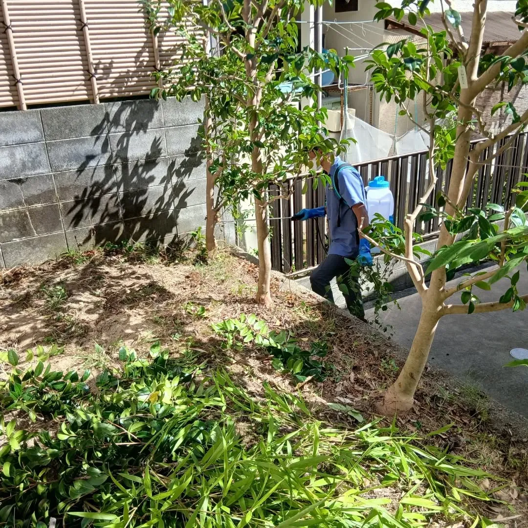 お疲れ様です。