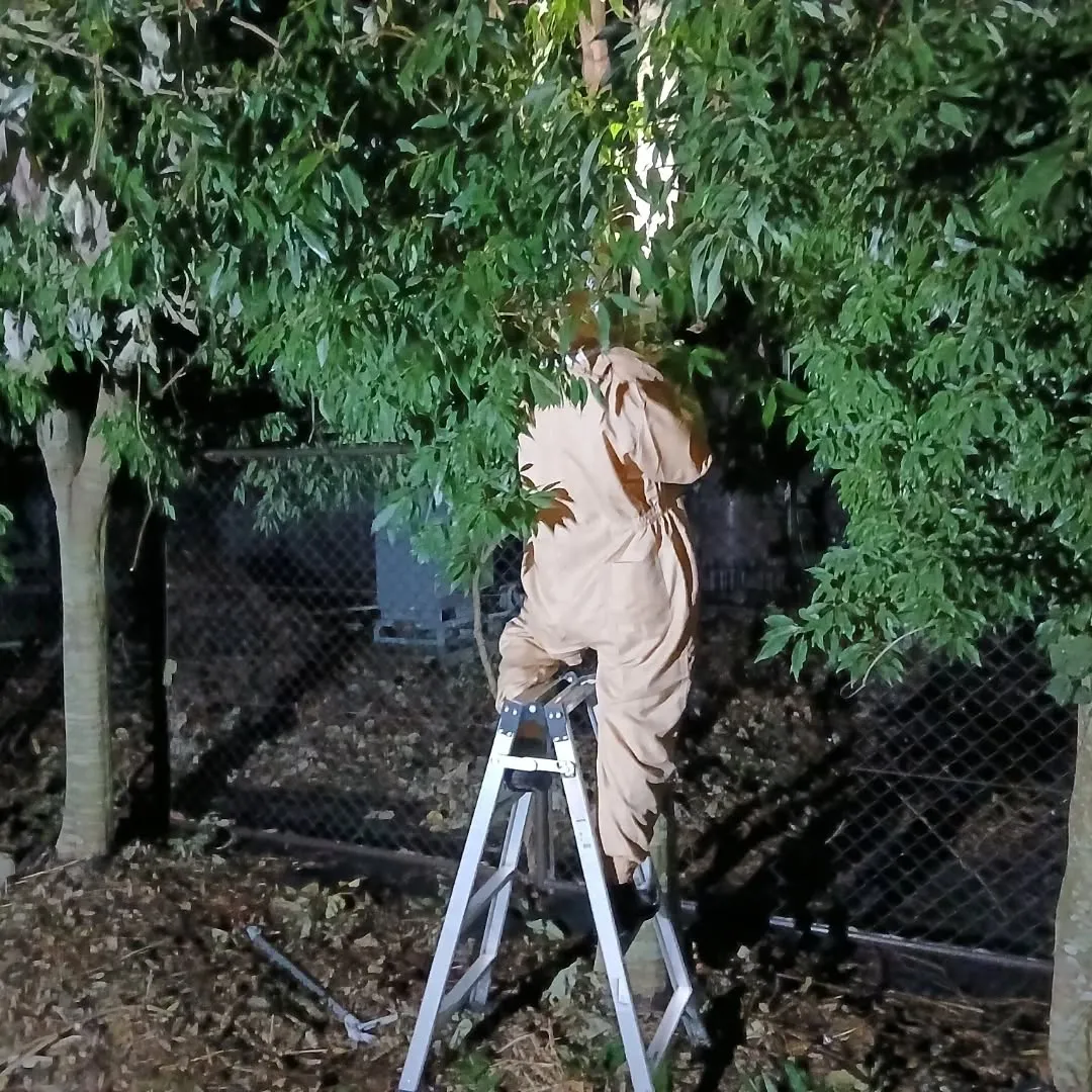 お疲れ様です！昨日は特別な依頼が入りました🆘。
