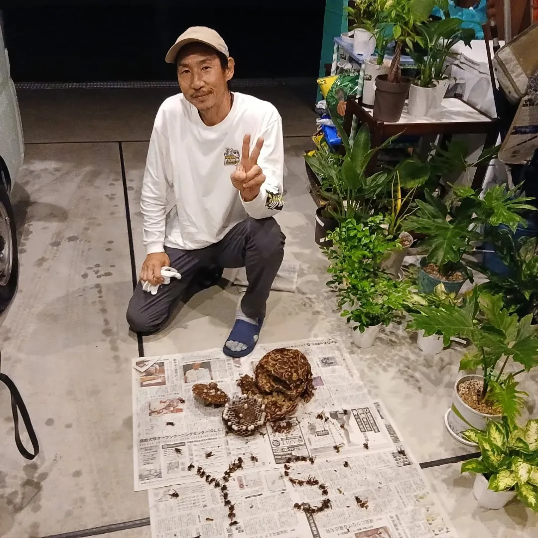 お疲れ様です！昨日は特別な依頼が入りました🆘。
