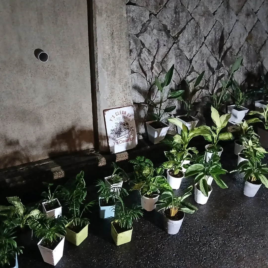 お疲れ様です🌿 今日は、あいにくの雨ですね☔️。