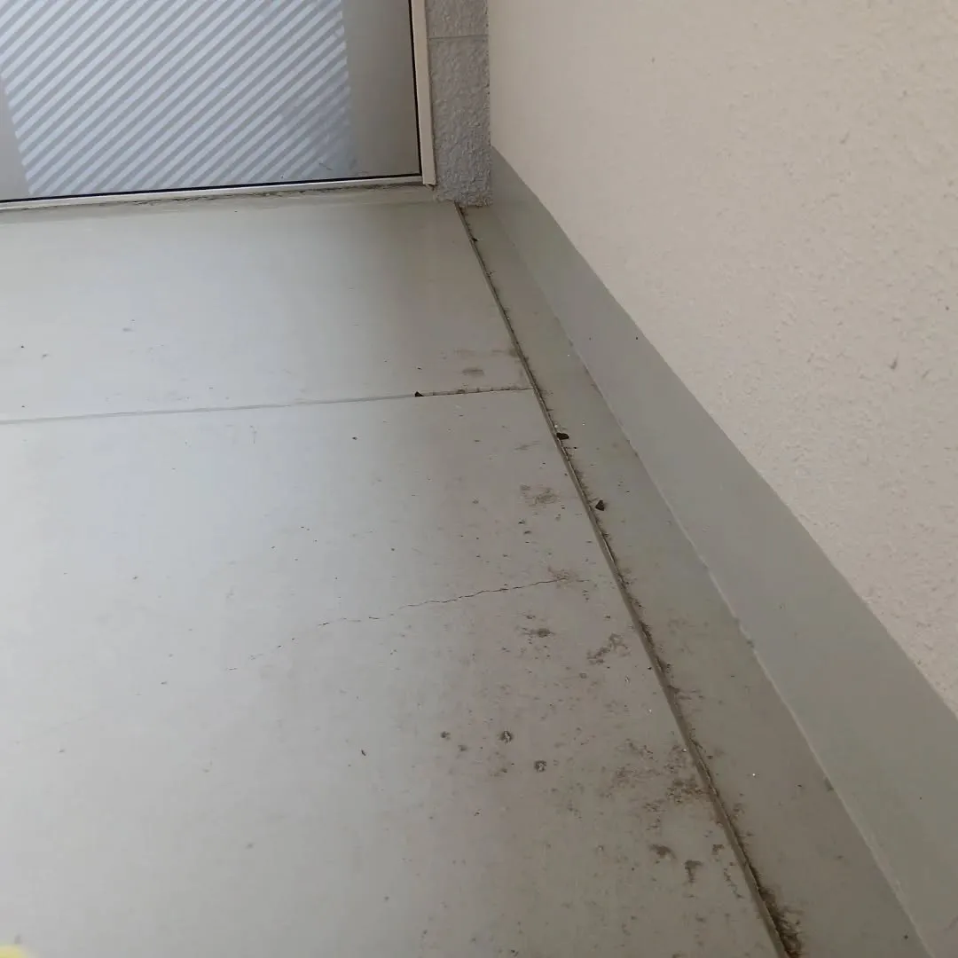 お疲れ様です!🌧🌬冷たい風が吹く中、寒さが増してきましたね。