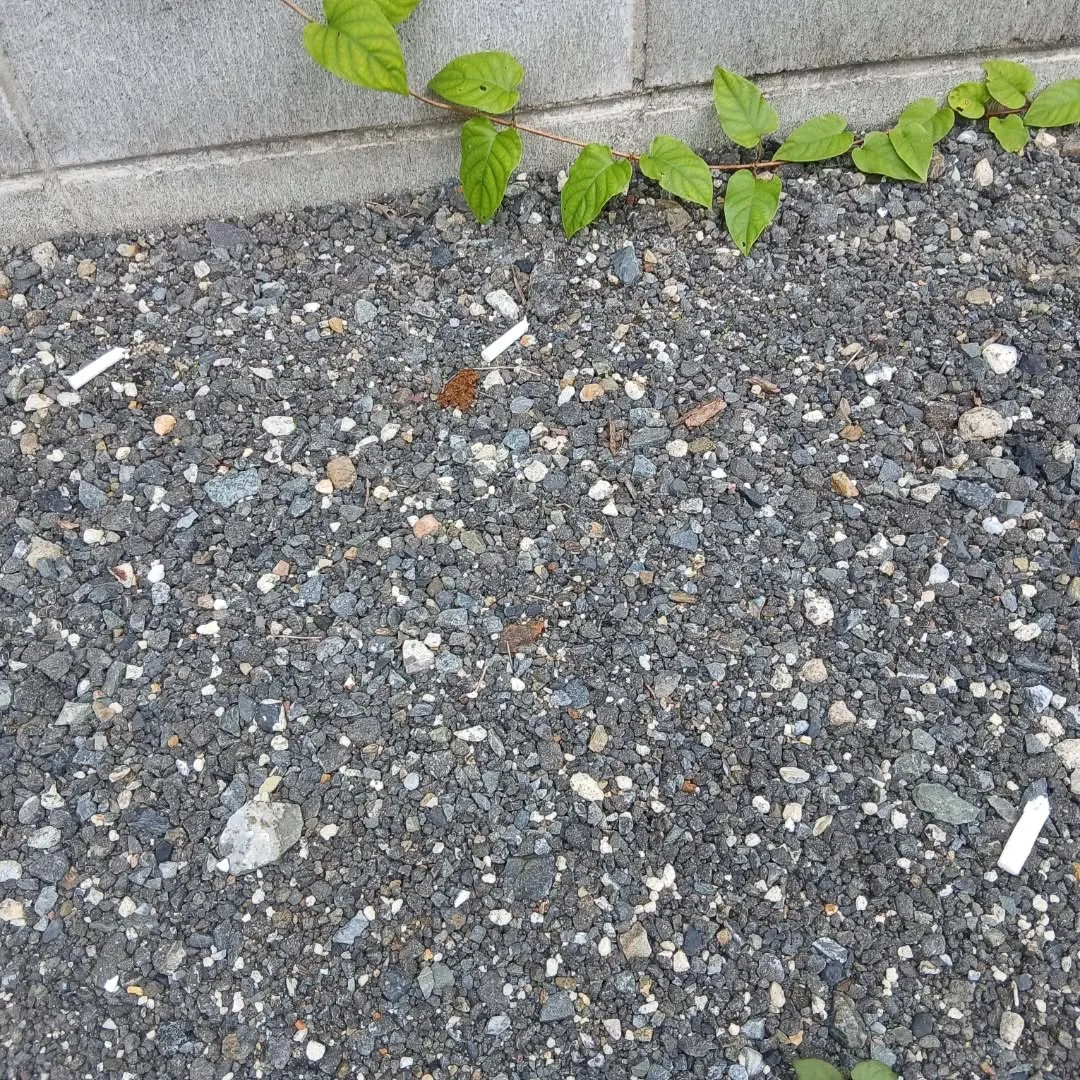 お疲れ様です！今日は企業様から受託した不動産会社の駐車場管理...