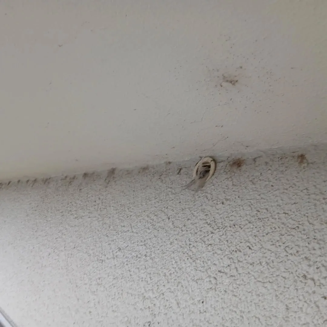 お疲れ様です🌧️。